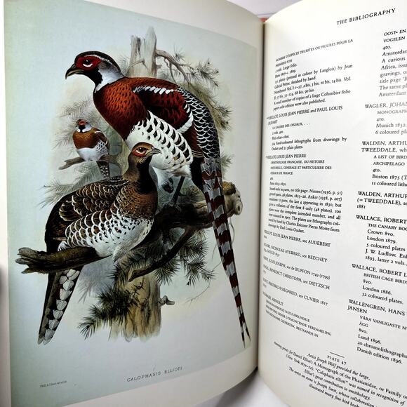 Fine Bird Books 1700-1900 by Sacheverell Sitwell Atlantic Monthly hardcover book - Picture 2 of 13